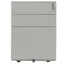 Тумба офисная ПРАКТИК NP-405 FL2